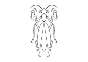 negro y blanco Orando mantis clipart. colorante página de un saltamontes vector