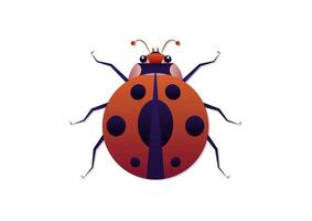 Ladybug Vector Art in Flat Style. Ladybug Clipart Isolated on White Background