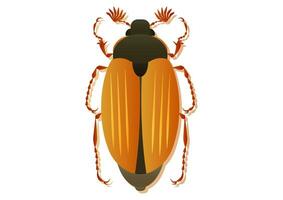 May Beetle Vector Art Isolated on White Background