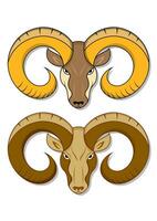 Ram Head in Two Different Colors. Bighorn Sheep Ram Vector Flat Design