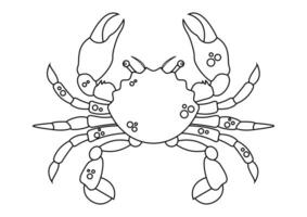 Coloring page of a crab cartoon character with big claws vector. Black and white crab vector