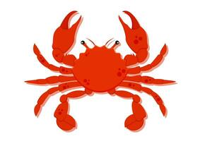 Crab cartoon character with big claws vector illustration