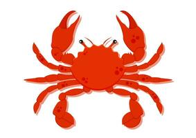 Crab cartoon character with big claws vector illustration