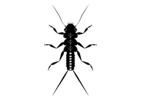 Black and White Stonefly Nymph Insect Clipart Vector isolated on White Background