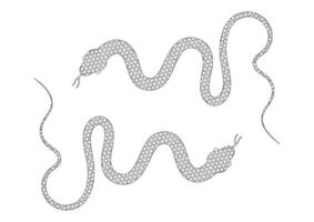 negro y blanco serpiente vector ilustración. colorante página de dos serpientes