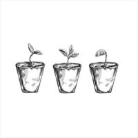 Hand-drawn sketch of plants in biodegradable peat moss pots on white background. Eco concept. Doodle vector outline set.