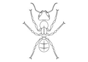 negro y blanco hormiga clipart. colorante página de hormiga vector
