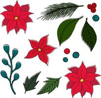 Christmas plants set. Vector image in the style of doodles