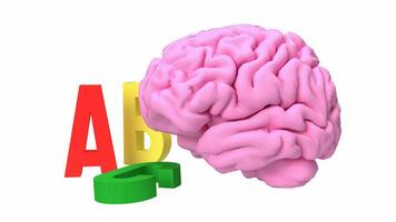 The alphabet  and brain for education or sci concept 3d rendering photo