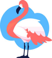 Hand Drawn Flamingos in summer concept in flat style png