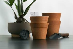 Small terracotta pots and tree planting equipment. photo