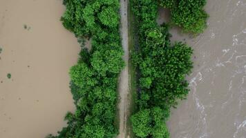 aéreo ver de el zona afectado por lluvioso temporada inundación. parte superior ver de un fluido río después pesado lluvia y inundación de agrícola tierra en rural del Norte tailandia video