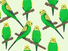 Vector seamless pattern with love parrots. Cartoon cute colorful budgerigars sitting on branch. Talking bright budgie family. Creative style summer beach print