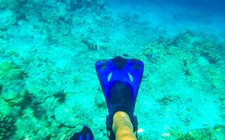 Snorkeling underwater views fish Corals turquoise water Rasdhoo island Maldives. photo