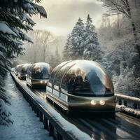 Bobsledding. High-speed rides on slippery tracks photo