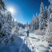 Cross-Country Skiing. Endurance and scenic routes throug photo