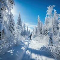 Cross-Country Skiing. Endurance and scenic routes throug photo