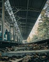 Autumnal railway platform concept photo. Passenger train in parkland. photo