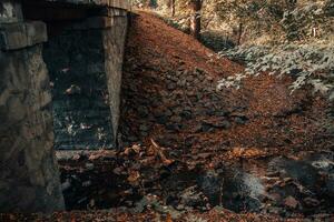 The old bridge over the river of the autumn forest. Forest river stream landscape. photo