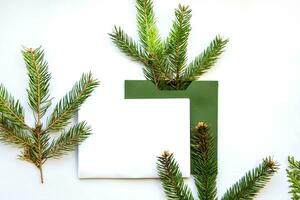 Festive composition. Spruce branch in a green envelope on a white background with space for text. photo