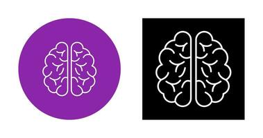 Brain Vector Icon