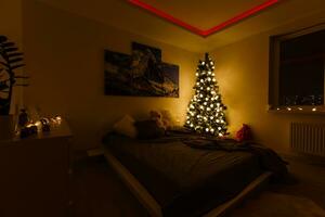 Design room with Christmas fir and the bed. Interior country style photo