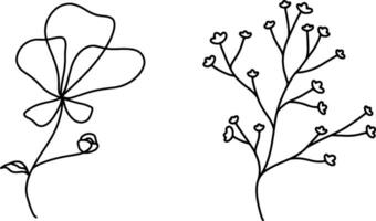 botanical line art vector