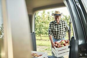 Fruta cultivador cargando coche con manzana cajas foto