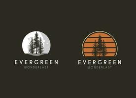 pine evergreen fir hemlock spruce conifer cedar coniferous cypress larch pinus tree forest vintage retro hipster line art Logo design vector