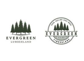 pine evergreen fir hemlock spruce conifer cedar coniferous cypress larch pinus tree forest vintage retro hipster line art Logo design vector