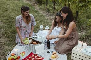 Friends having a summer picnic in vineyard photo