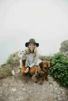 Young woman with two dogs on viewpoint photo