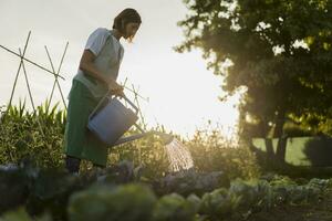 Woman watering vegetable garden photo