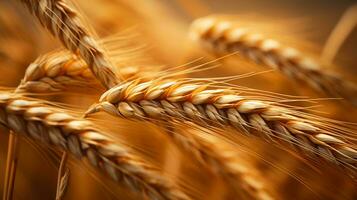 Macro photo of wheat seed background AI generative