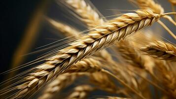 Macro photo of wheat seed background AI generative