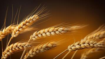 Macro photo of wheat seed background AI generative