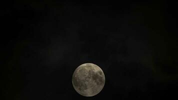 lleno Luna y oscuro nubes paso video