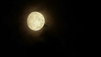 cheio lua e Sombrio nuvens passagem video