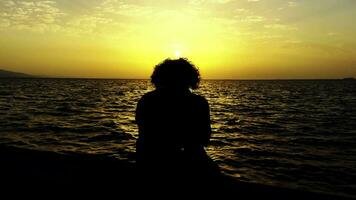 silhouette di persone vicino al mare al tramonto video