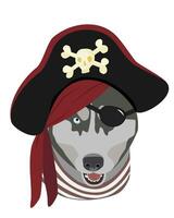 A Husky dog with one eye closed donning a bandana and pirate hat, dressed in a striped shirt vector