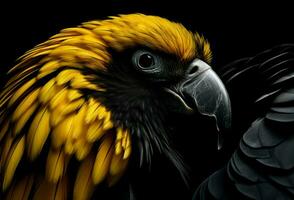 Yellow black parrot head. Generate Ai photo