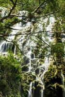 Hidalgo Tolantongo Grutas - Immersed in Natures Beauty photo