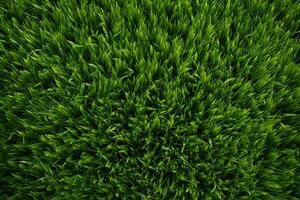 top view of Seamless green grass pattern ai generative photo