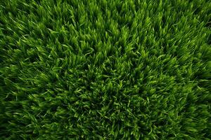 top view of Seamless green grass pattern ai generative photo