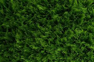 top view of Seamless green grass pattern ai generative photo