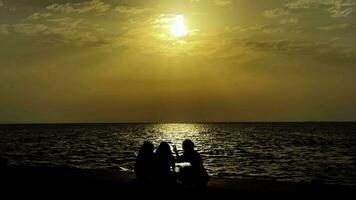People Silhouette Near the Seaside in Sunset Light video
