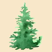 Christmas tree. Watercolor art. Vector evergreen tree illustration. Isolated new year.