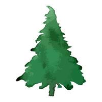 Christmas tree. Watercolor art. Vector evergreen tree illustration. Isolated new year.