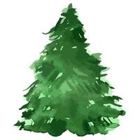 watercolor vector Christmas tree. Evergreen illustration. Isolated new year.