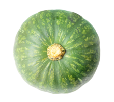 Top view of single fresh kabocha or green Japanese pumpkin isolated with clipping path in png file format